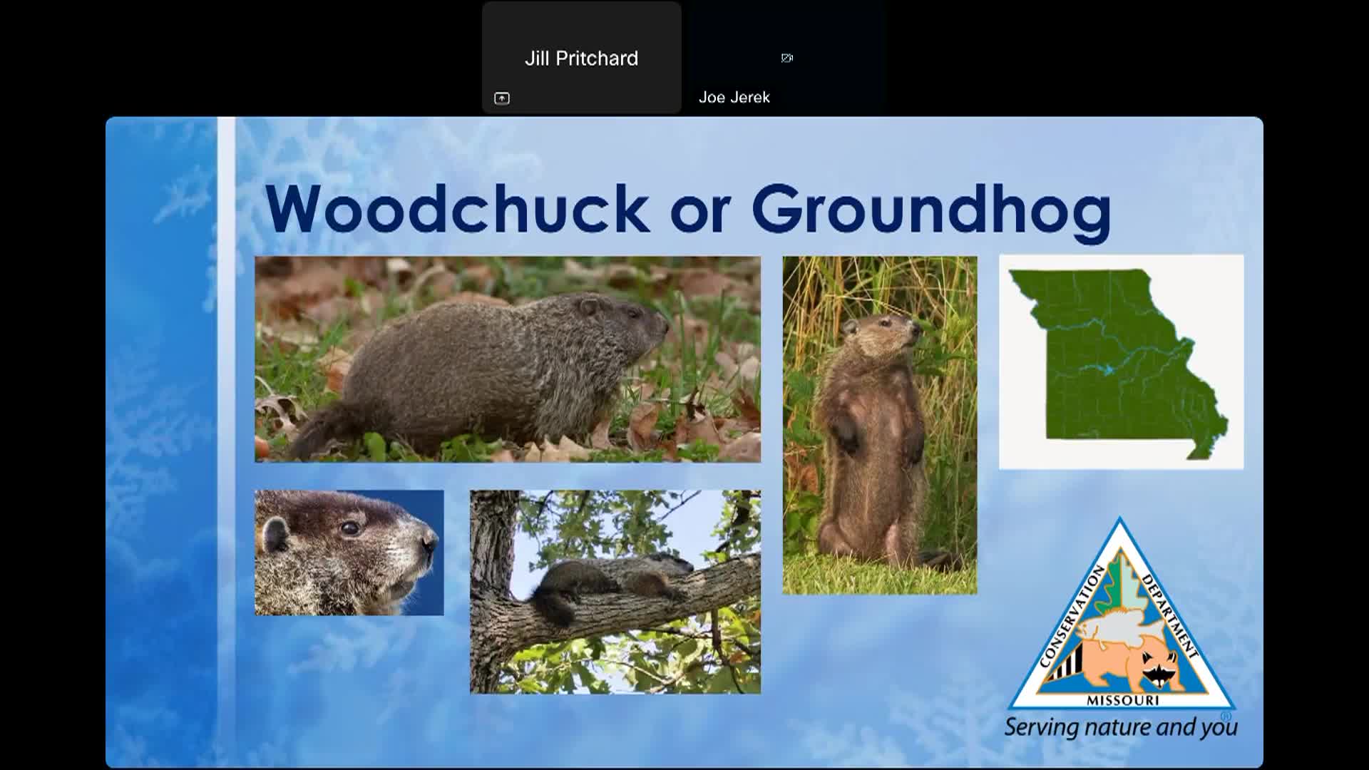 MDCWildWebcast15_Wildlife_Weathering_Winter