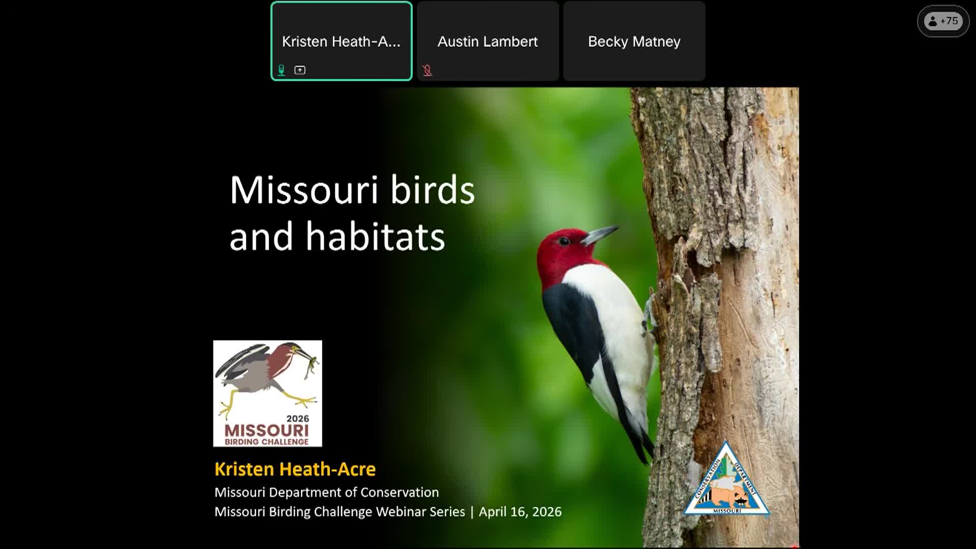 Thumbnail image for MDCWildWebcast16_MissouriBirdsHabitats