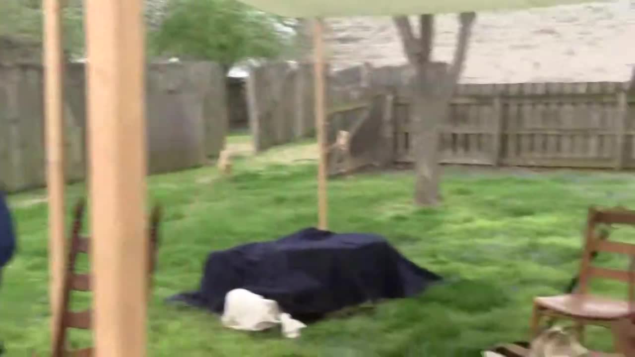 Centre For French Colonial Life French Indian War 2019 (Reenactment Camp)