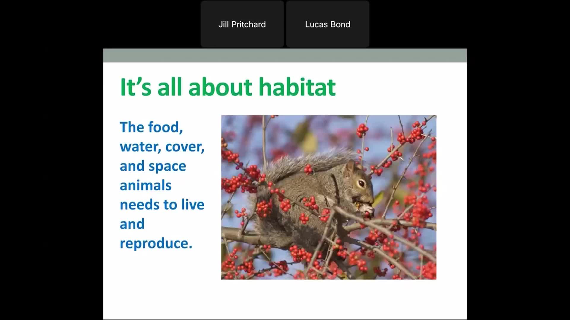 Thumbnail image for MDCWildWebcast09