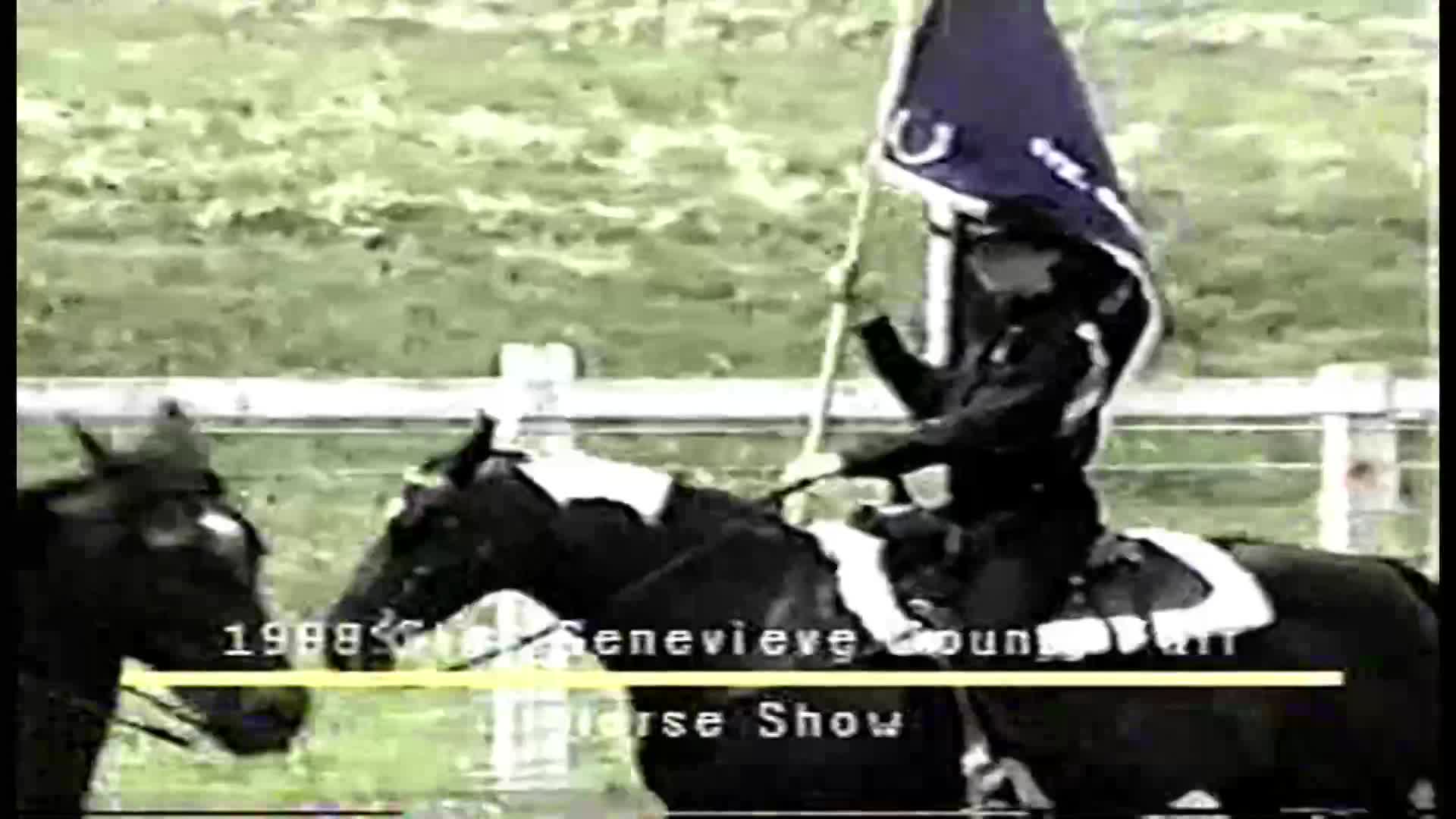Thumbnail image for ARCSteggenhorseshow98