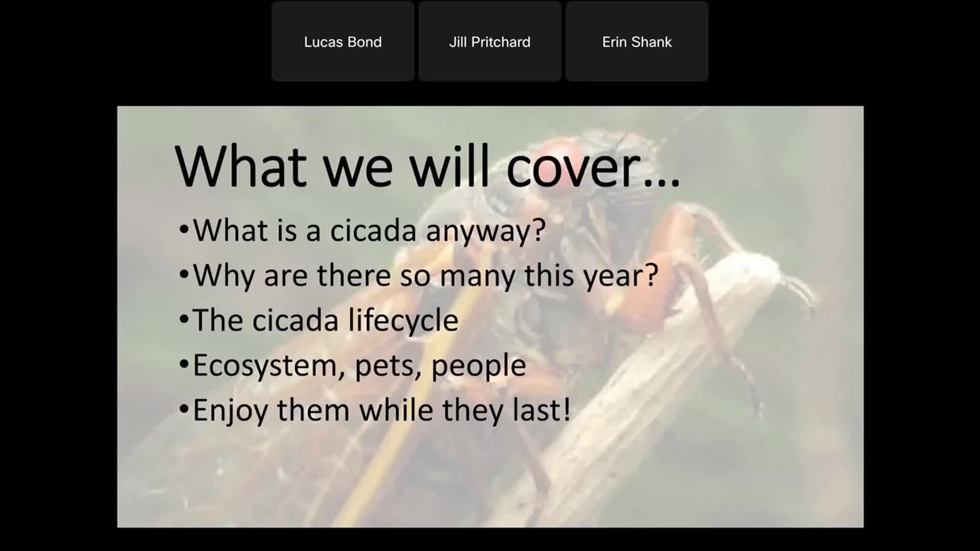 Thumbnail image for MDCWildWebcast10(2)