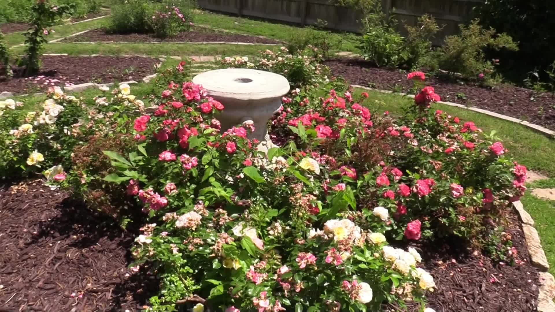 gardenwalk2024fin.movie