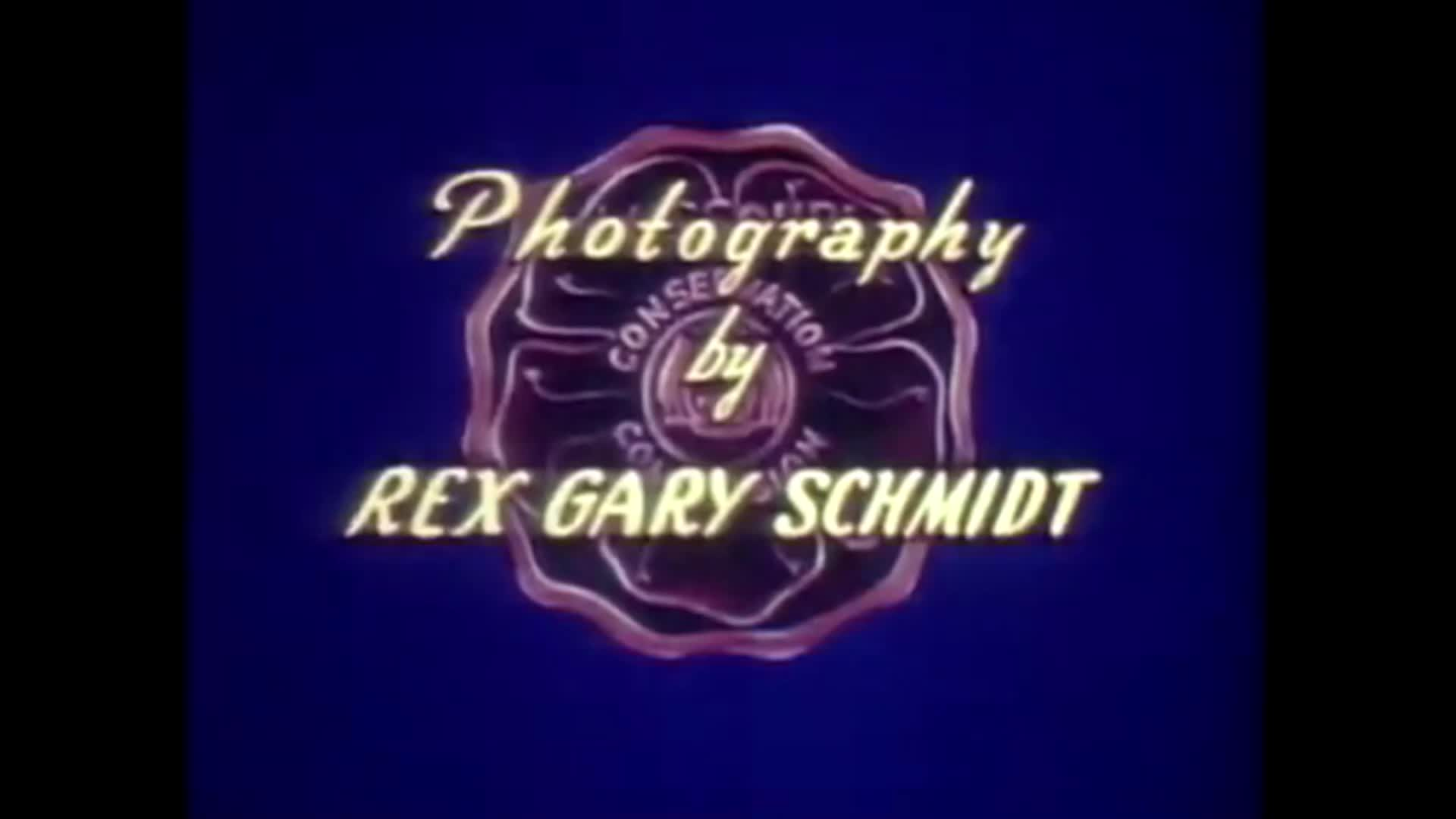 Thumbnail image for MDCArchiveAnOzarkFloat1958