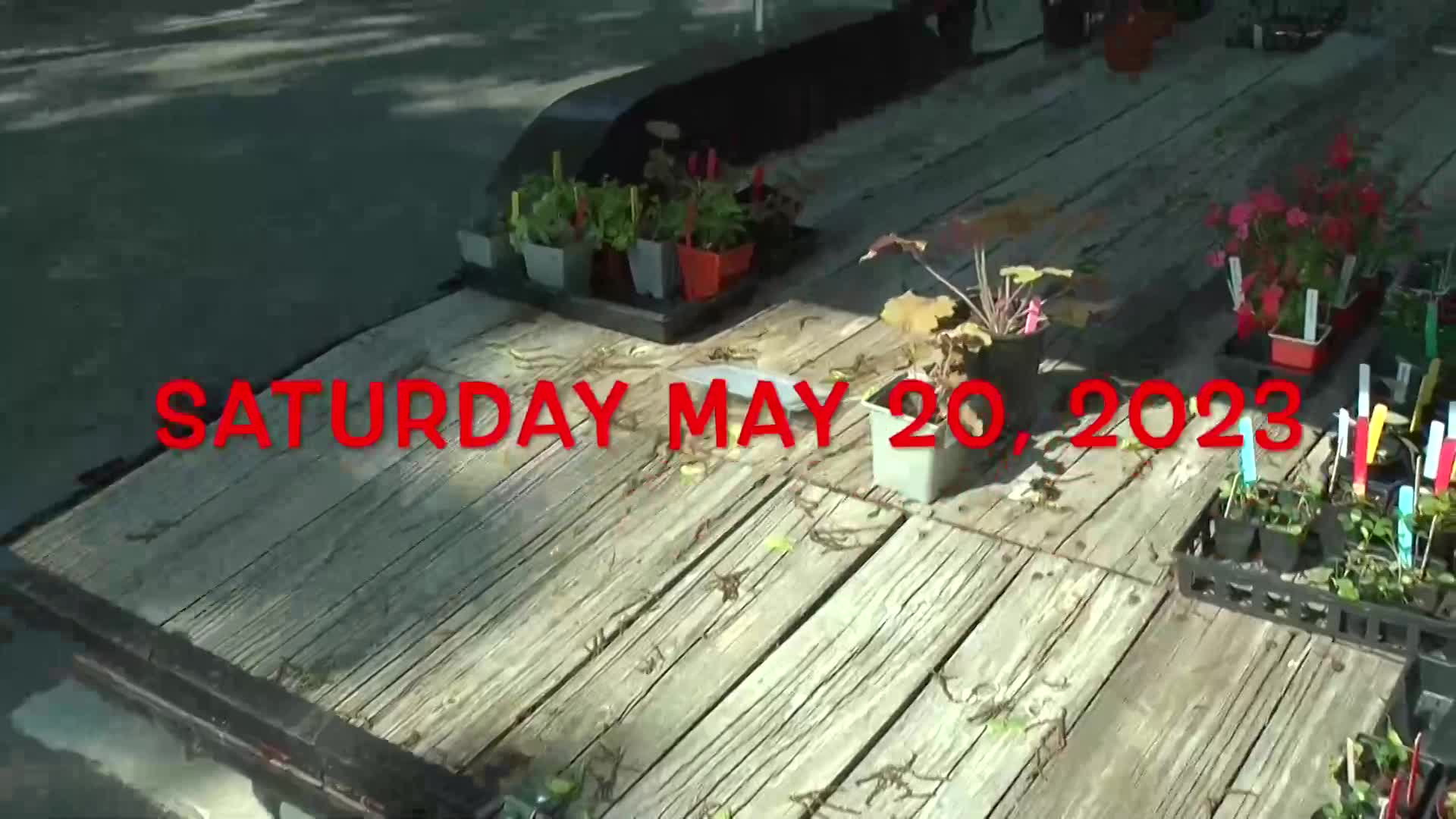 gardenwalk2023audioedit