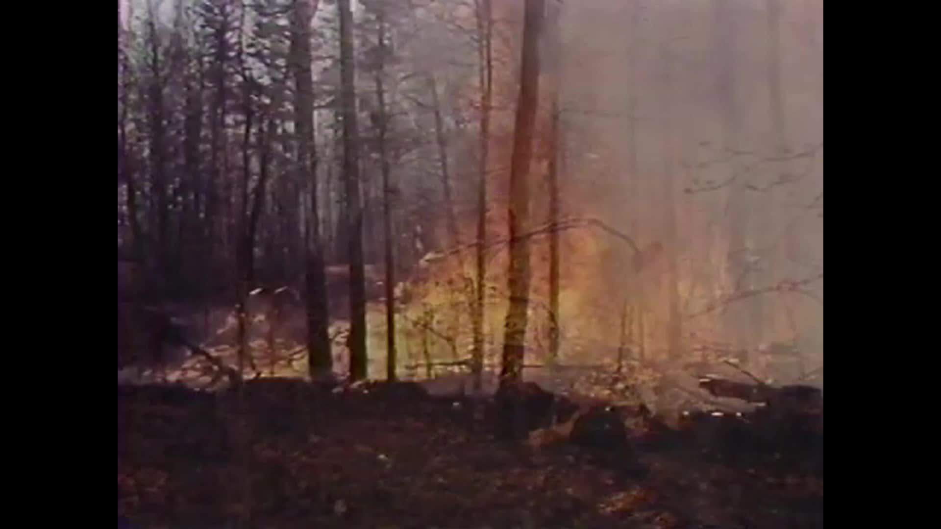 MDCArchiveBringemBack1989