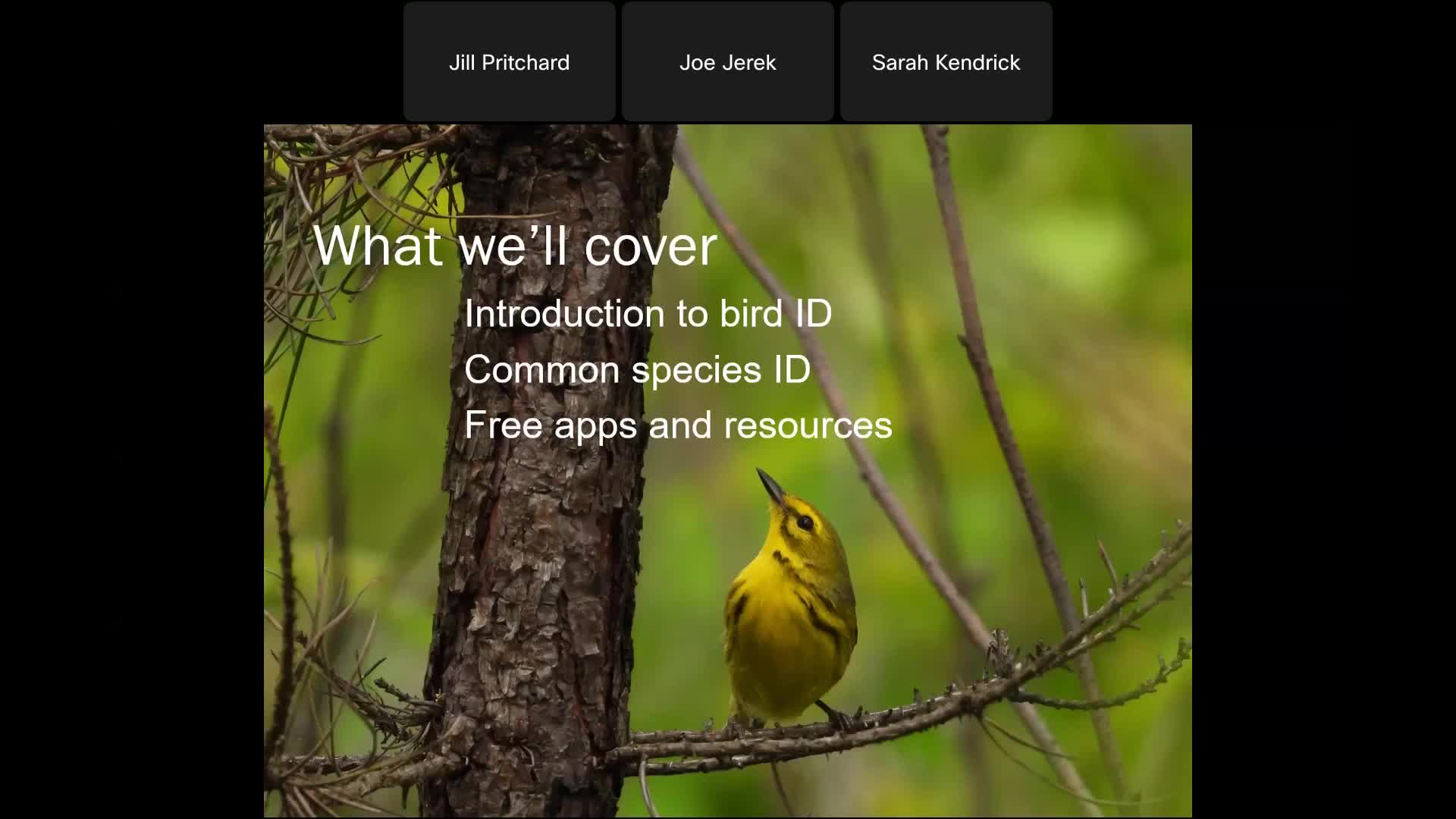 Thumbnail image for MDCWildWebcast12