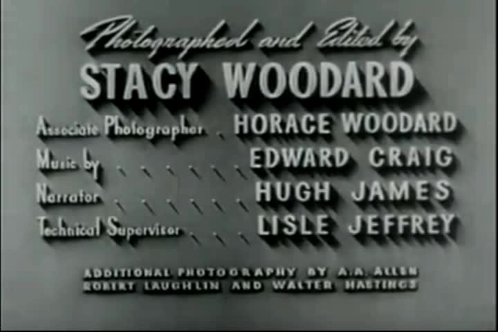 Thumbnail image for MDC: Back to Missouri (1940)